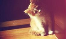 阳光下的沐浴_1000字