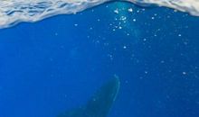 大海的色彩_800字