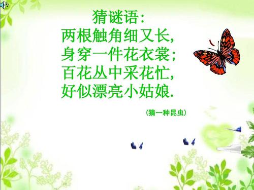 猜猜谜语_350字