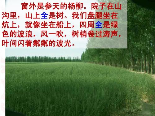 “青山不是老”想象一下老人的艰难生活，练习笔_300字