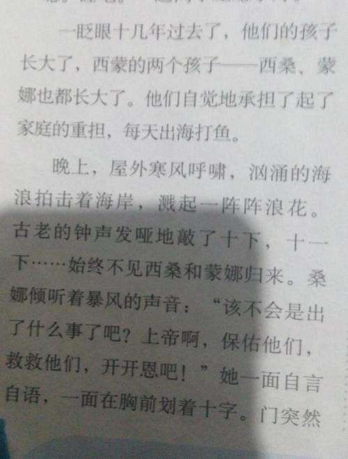 可怜的_1200字