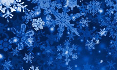   什么！慢慢接近地面，在雪白世界中，我也看到了一个浅浅的梅花，是一种坚持不懈。还塑造了一层雪，但与其他花朵相比，只有她，也展示了他的美丽，给了一个白色的世界，真的和她在一起的朋友......