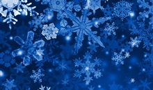 我是一片雪_550字