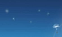 蒲公英精灵梦（1）_300字