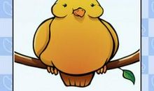 我是一只小鸟_650字