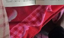 新华字典的自述_750字