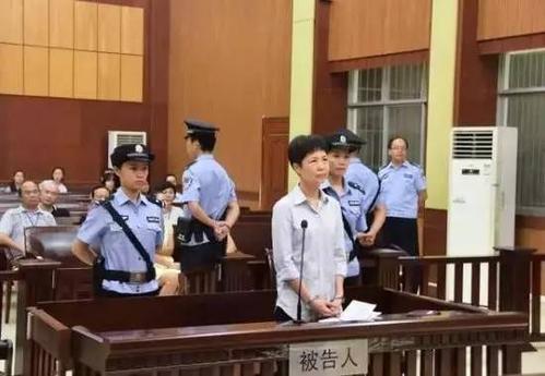 我为法院辩护了_650字