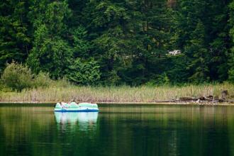 走温哥华_1200字