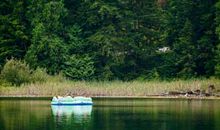 漫步温哥华_1200字