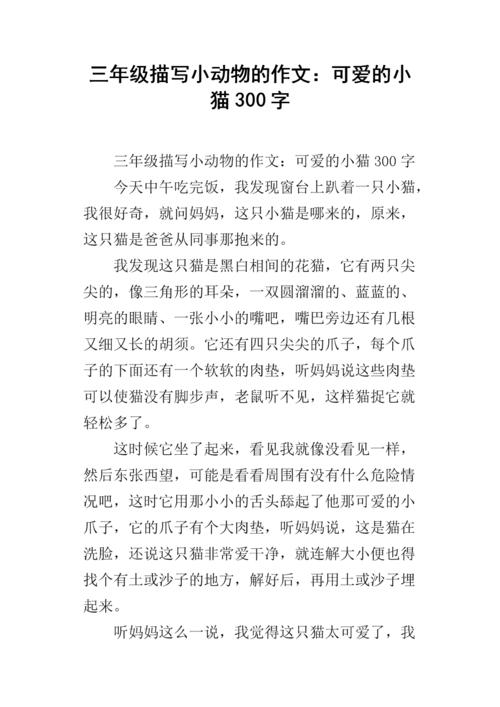 我的家人的猫_300字