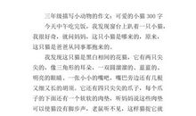 我家的猫咪_300字