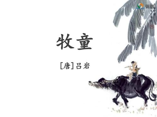 改变“牧羊人”_450字