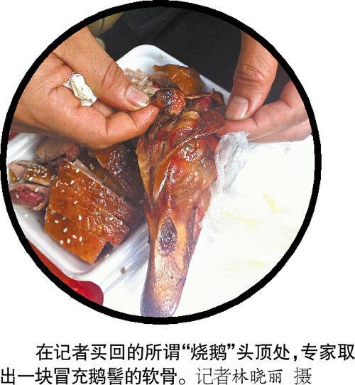 快点，duck_500字