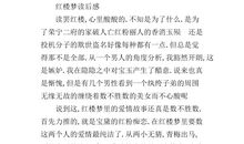 新编红楼梦_400字
