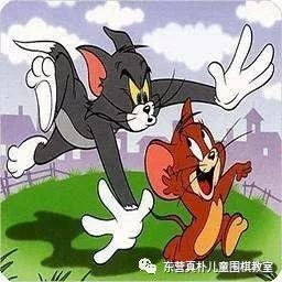 猫和老鼠_550字
