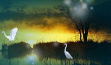 生活的希望_500字