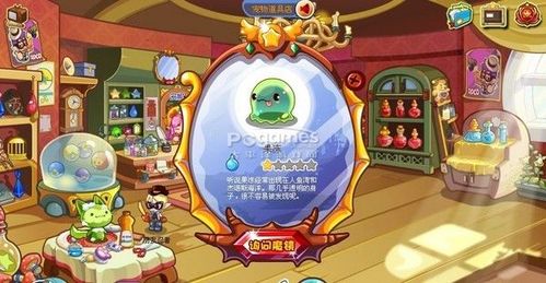 追求你的脚印_800字