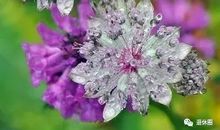 高一期末考试作文：乡村奇景_800字