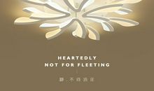 照明灯的故事_800字