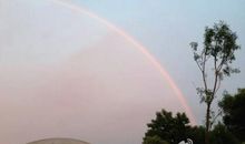 彩虹上的学校_550字