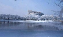 冬季的校园_1000字