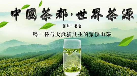 垃圾山旅行_900字