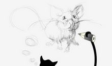 电子猫抓老鼠_700字