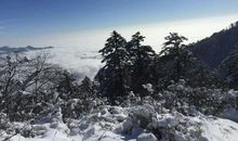 冬天的美丽_500字