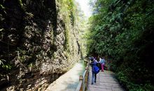 游玩大峡谷_1200字