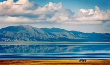 生命的风景_600字