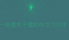 2007年的第一场雪_700字