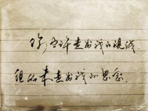 我的视线_650字