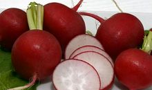 白萝卜和胡萝卜_400字