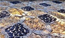 我是一颗鹅卵石_600字