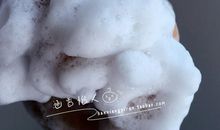 牛奶的自述_550字