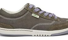 未来的鞋子_550字