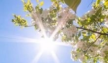 那一个风和日丽的春天_3000字