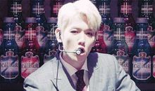 动物的演唱会_400字