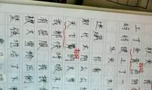 假如我是一棵小草_500字