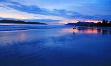 海岛新景象_500字