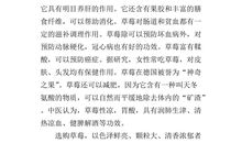 冰雹的自述_400字