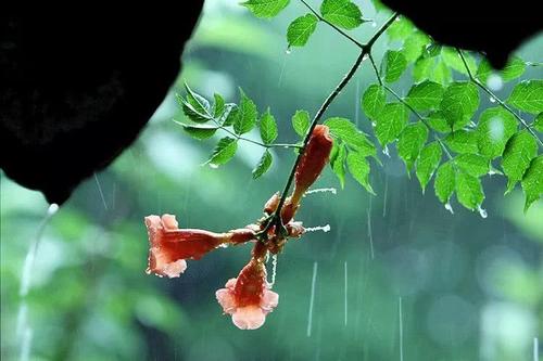 春天，毕竟是春天_650字