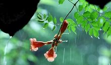 春天，毕竟是春天_650字