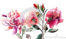 美丽的花雀妹妹_450字