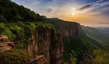 蚂蚁的村落_1000字