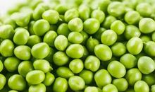 我和豌豆一样大_300字