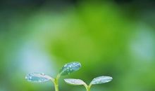 感叹时间的流逝短文_300字