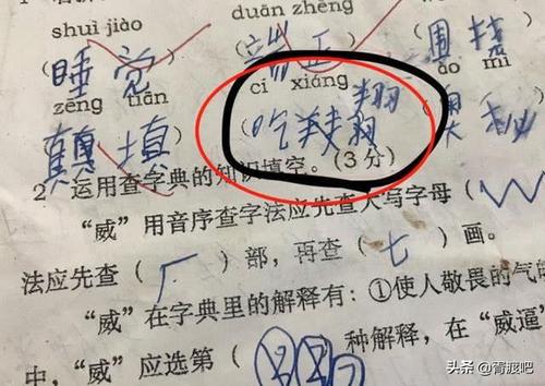 家庭作业（笑话）_200字