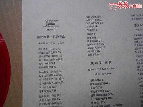 如果我是鸟_450字