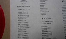 如果我是一只小鸟_450字